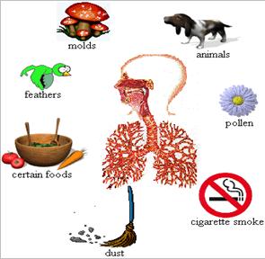 asthma1